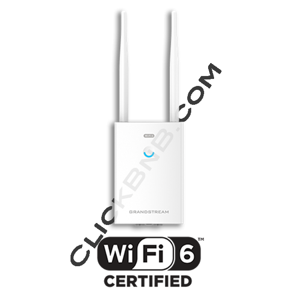 Grandstream GWN7660LR - WiFi 6 Outdoor Long Range Access Point