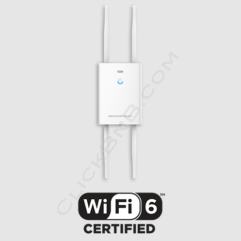 Grandstream GWN7664LR - WiFi 6 Outdoor Long Range Access Point