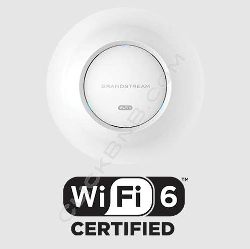 Grandstream GWN7660 - WiFi 6 Access Point