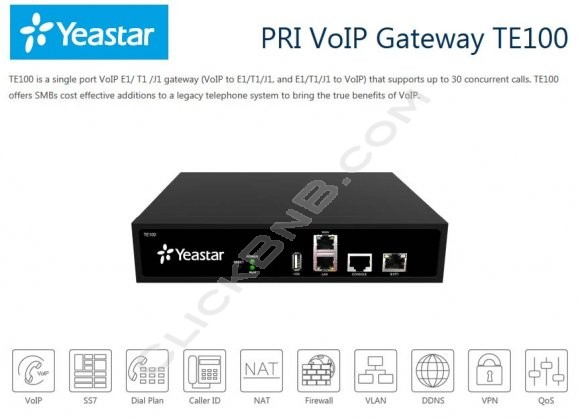 Yeastar - NeoGate TE100 - PRI VoIP Gateway (1 Port E1/T1/J1)