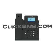 Dinstar C60UP - Entry Level Business IP Phone [PoE]