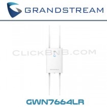 Grandstream GWN7664LR - WiFi 6 Outdoor Long Range Access Point