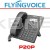 FlyingVoice P20P - Dual Line Busineess WiFi IP Phone [PoE]